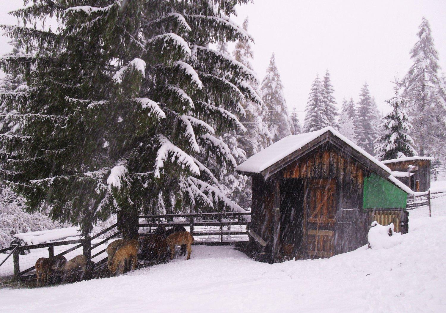 Gaestehaus Panorama Biberwier Exterior photo